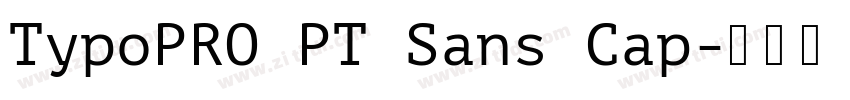 TypoPRO PT Sans Cap字体转换